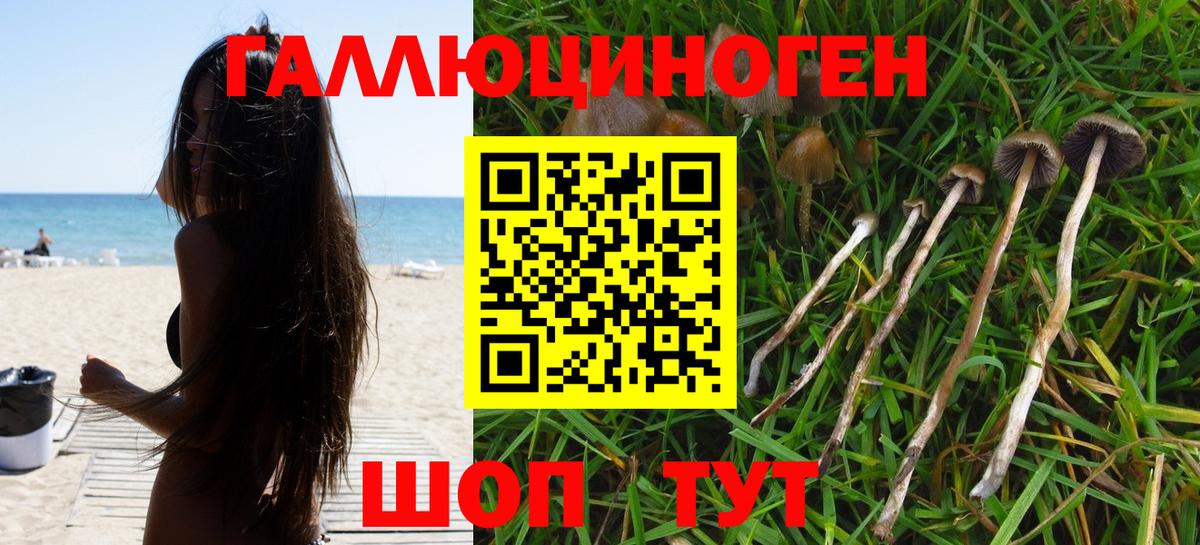 Псилоцибиновые грибы Psilocybe  Вход с VPN  где можно купить наркотик  Воронеж 