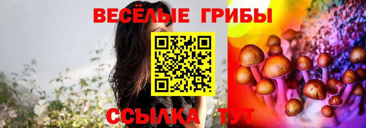 Галлюциногенные грибы прущие грибы Воронеж