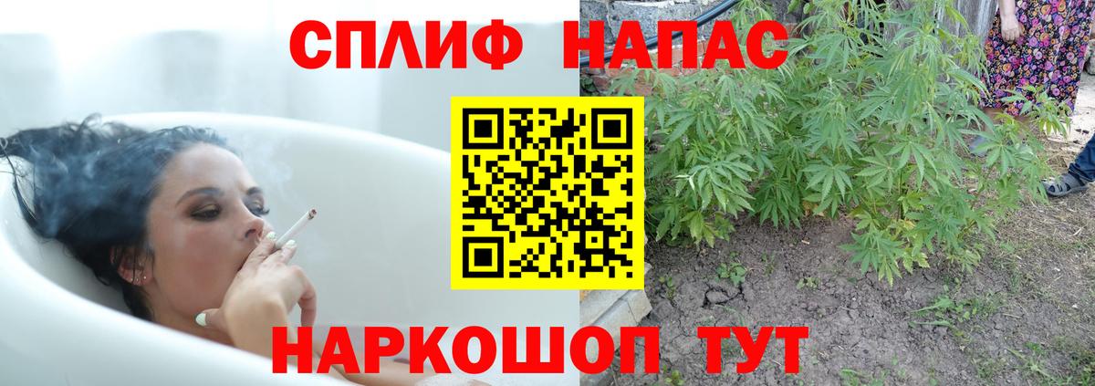 Конопля конопля  Вход с VPN  Бошки марихуана Amnesia  Воронеж 